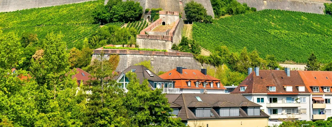 Express walking tour in Würzburg with a local