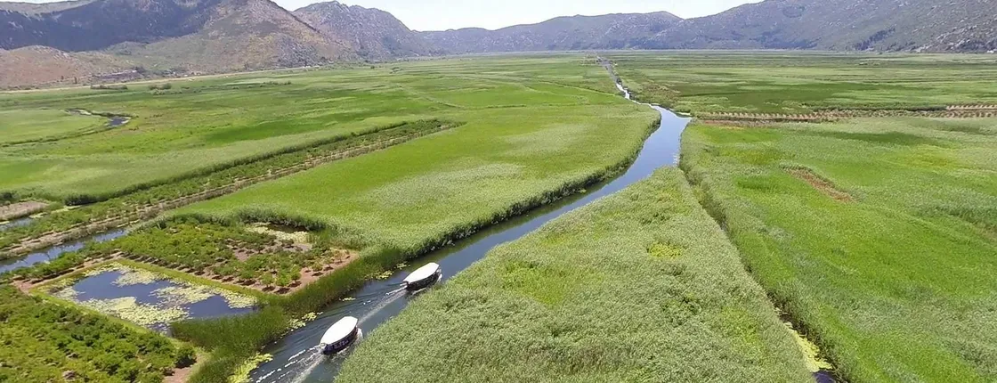 River Neretva Boat Tour with Lunch