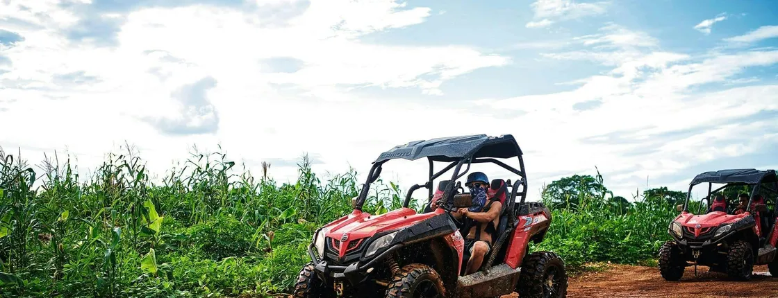 Jungle Buggies