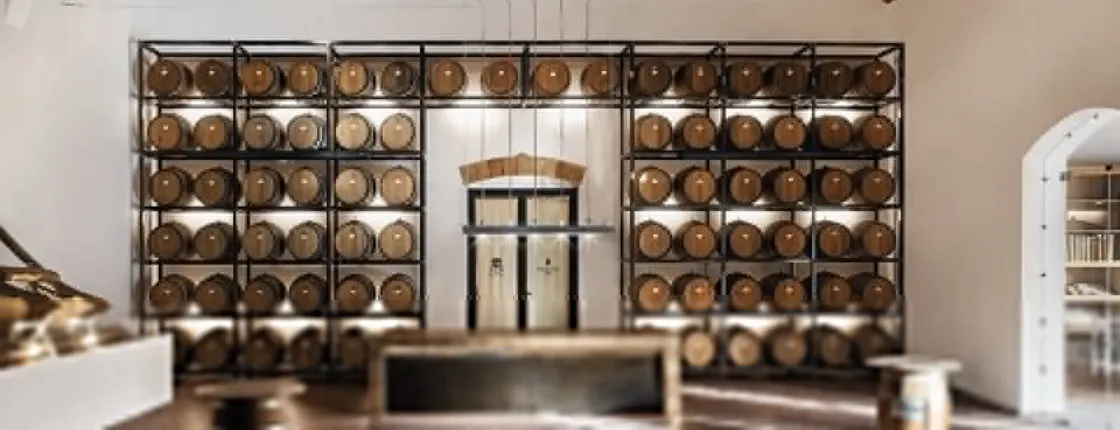 Marsala Oenological Tour With Food and Wine Tasting