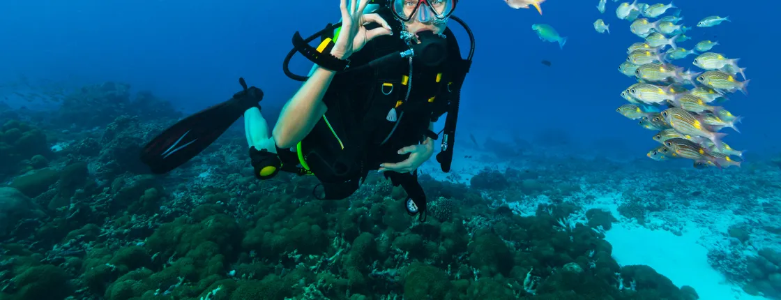 Diving package from RIU Atoll and RIU Palace Maldivas