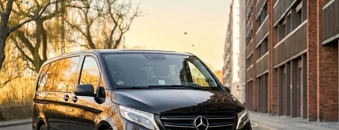 Private Copenhagen layover sightseeing tour from the airport