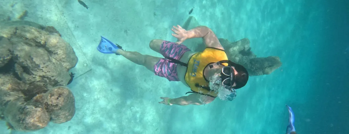 Cancun snorkelling experience with turtles, reef and shipwreck