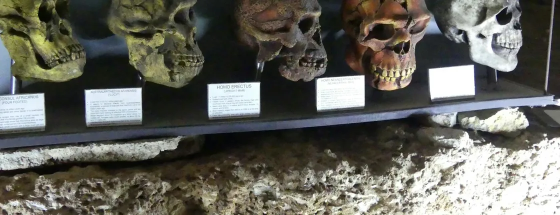 Jalon and the Caves of Skulls full-day tour from Calpe
