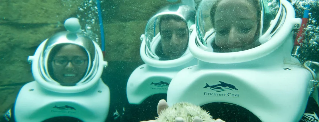 SeaVenture at Discovery Cove 2026