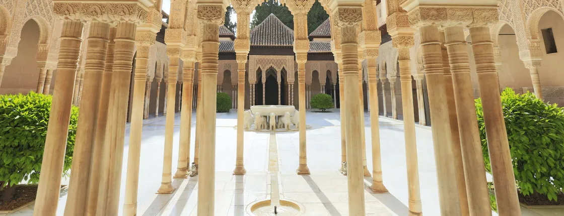 Alhambra tour of the Palacios, with audio guide