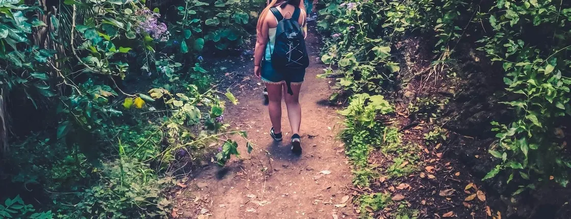 Full-day hiking experience in the rainforest