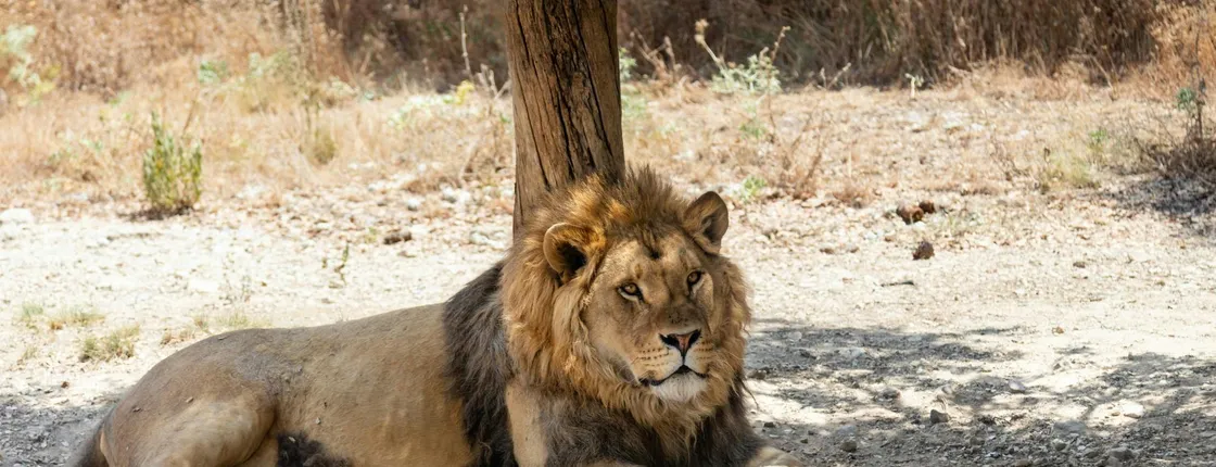 Friguia Tierpark