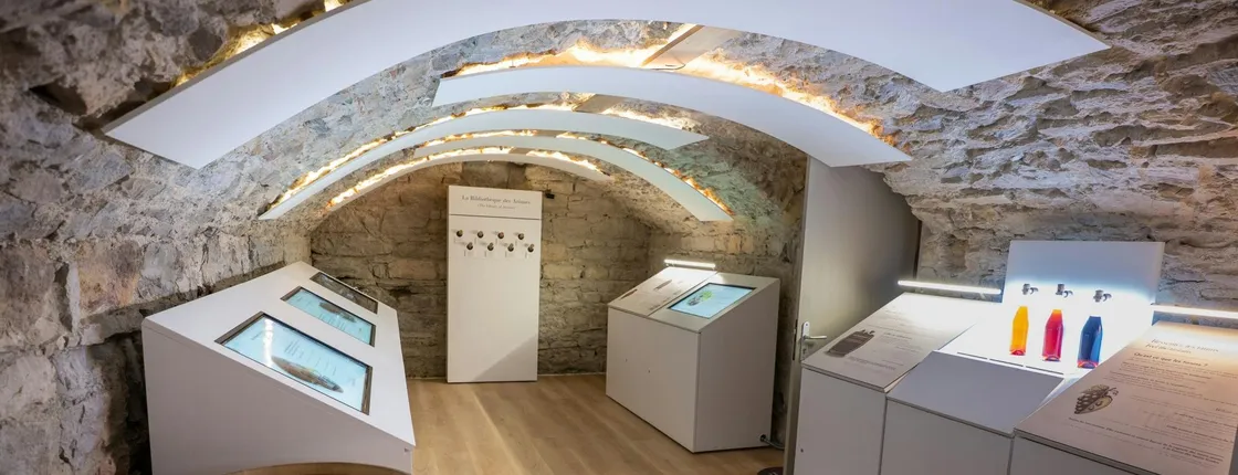 Le Petit Musée du Vin ticket with wine tasting in Lyon