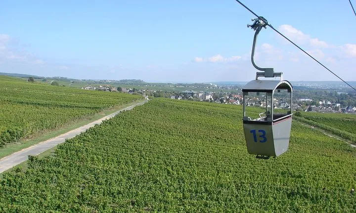 Rudesheim Private Walking Tour With A Professional Guide