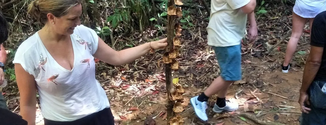 Khao Phra Thaeo National Park Trek