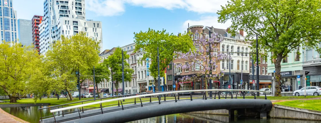 Historical walk of Rotterdam with a local