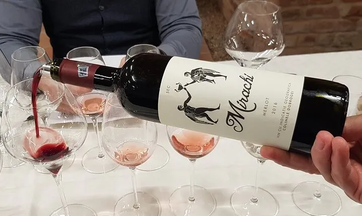 Day Tour: Visit Histria Ancient Citadel & Taste local wines