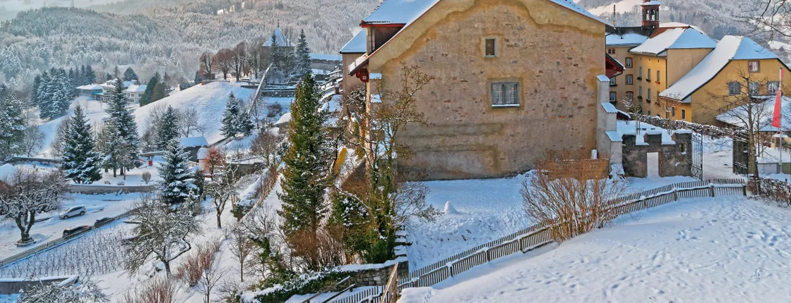 Full-day winter tour to Gruyères from Lausanne by bus