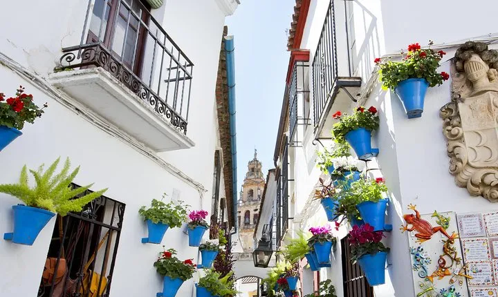 Mosque-Cathedral, Alcazar & Jewish Quarter with Tickets 