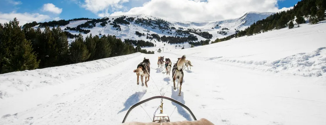 Mushing Experience in Grau Roig