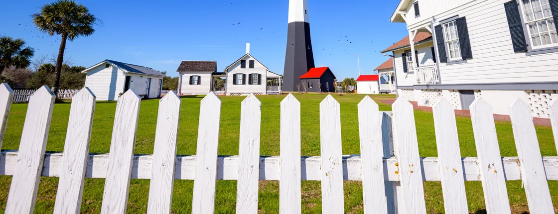 Tybee Island dolphin tour