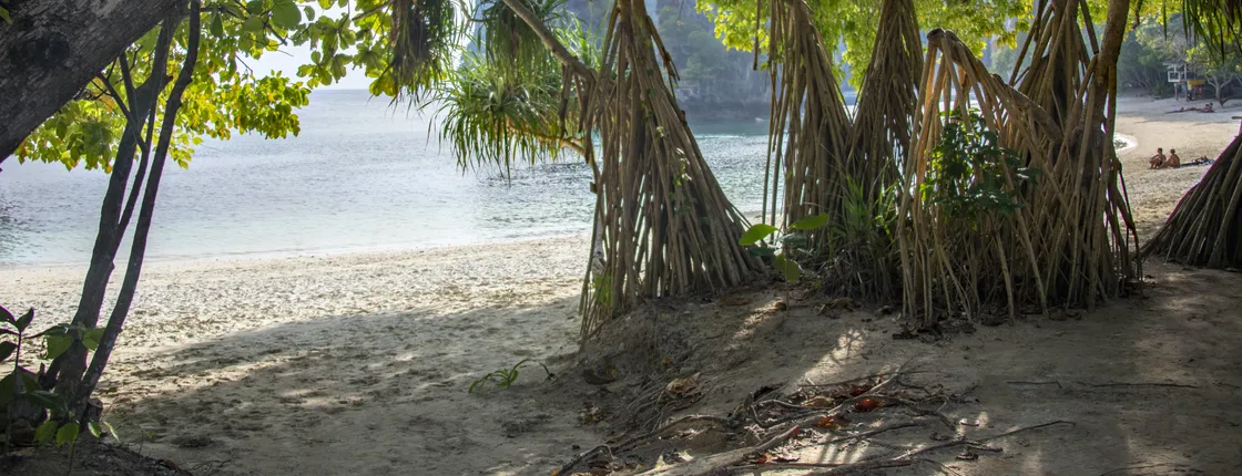 Full day Phang Nga and Ko Khai Island hopping by speedboat from Khao Lak
