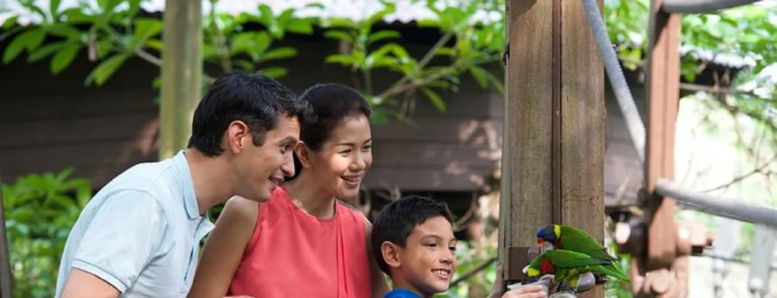 Private family tour of nature, birds and butterflies in Kuala Lumpur