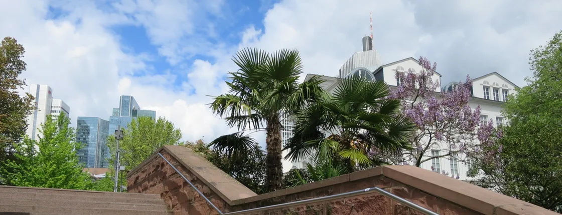 Frankfurt city tour between palm trees and skyline