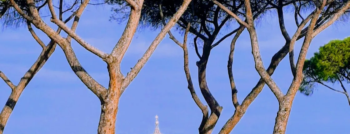 Gianicolo hill and Trastevere highlights walking tour