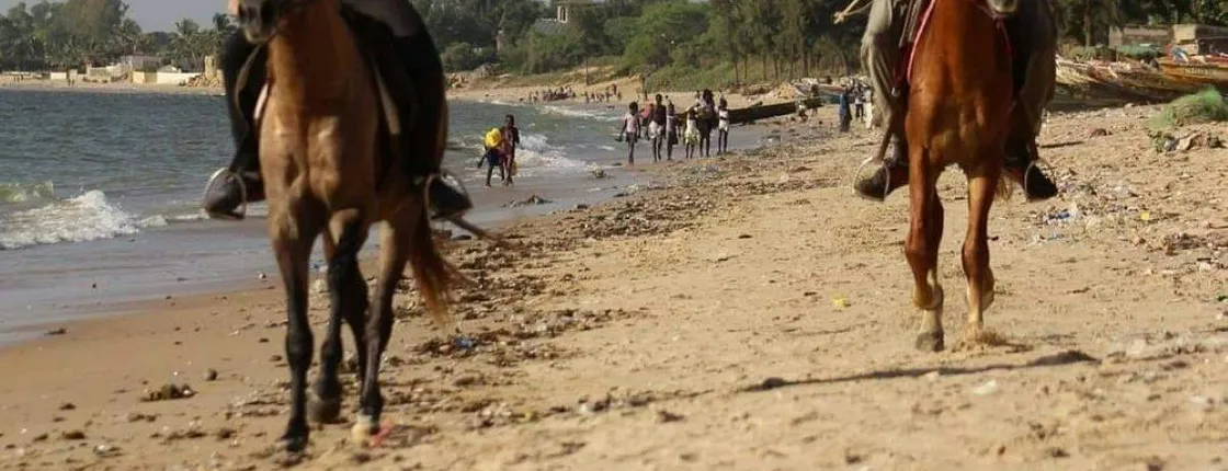 Horse riding from Riu Baobab Pointe Sarene
