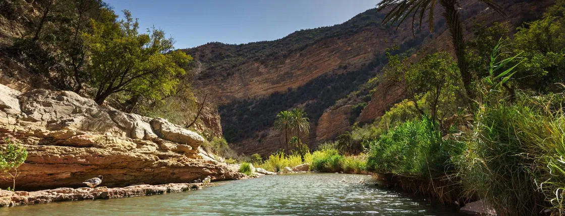 4x4 Atlas Mountains Tour from Agadir with Lunch