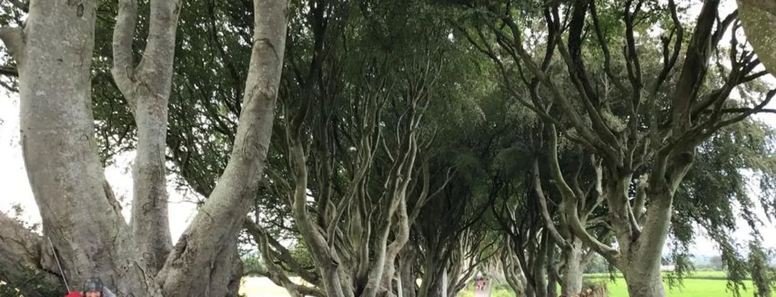 Game of Thrones Tour from Belfast