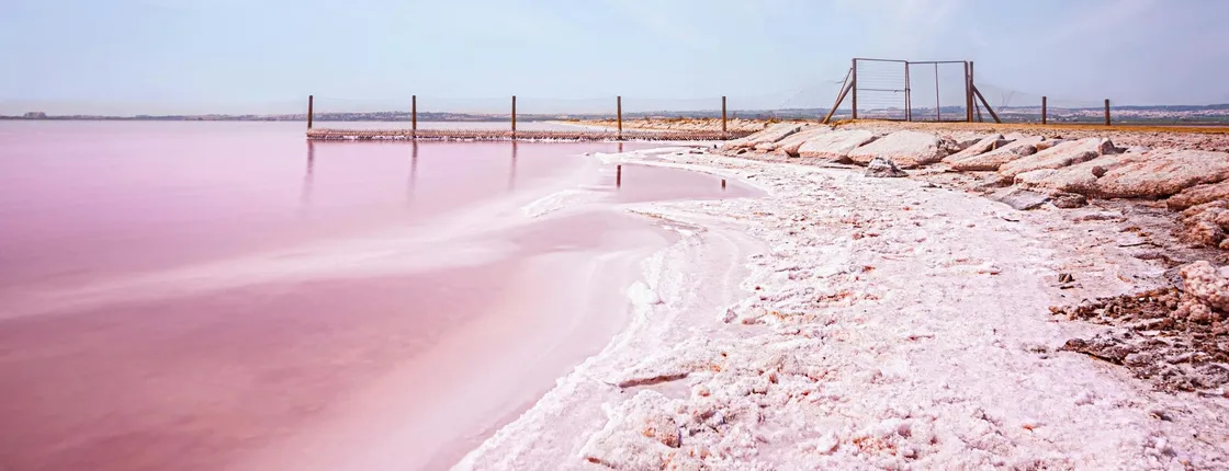Day trip to Tabarca, Santa Pola with Laguna Rosa ticket from Alicante