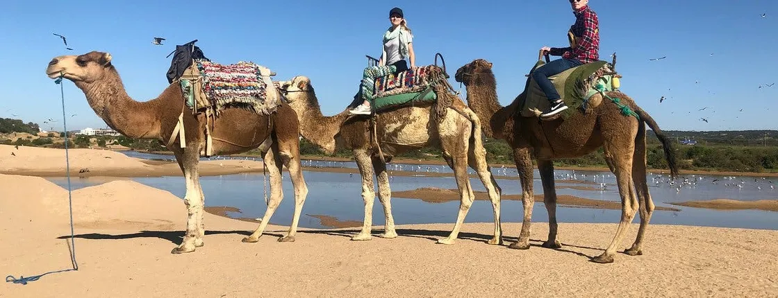 Camel Ride on the Beach of Essaouria