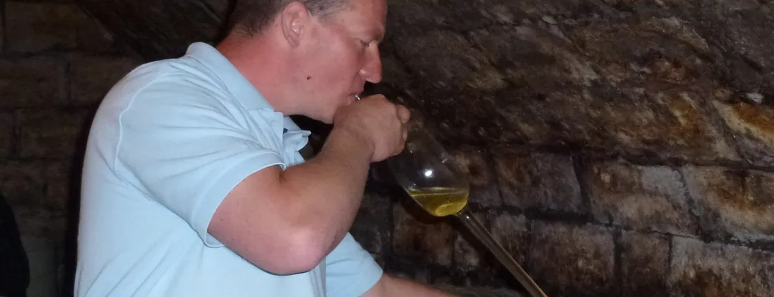 Half-Day Countryside Wine Tour from Budapest