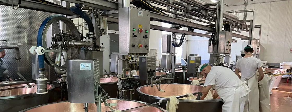 Parmiggiano, Wine and Balsamic Full Day Tour with Lunch from Bologna