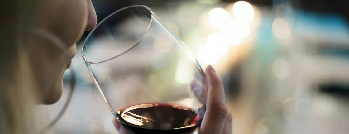 Valpolicella Wine Tasting: the "Three Classics"