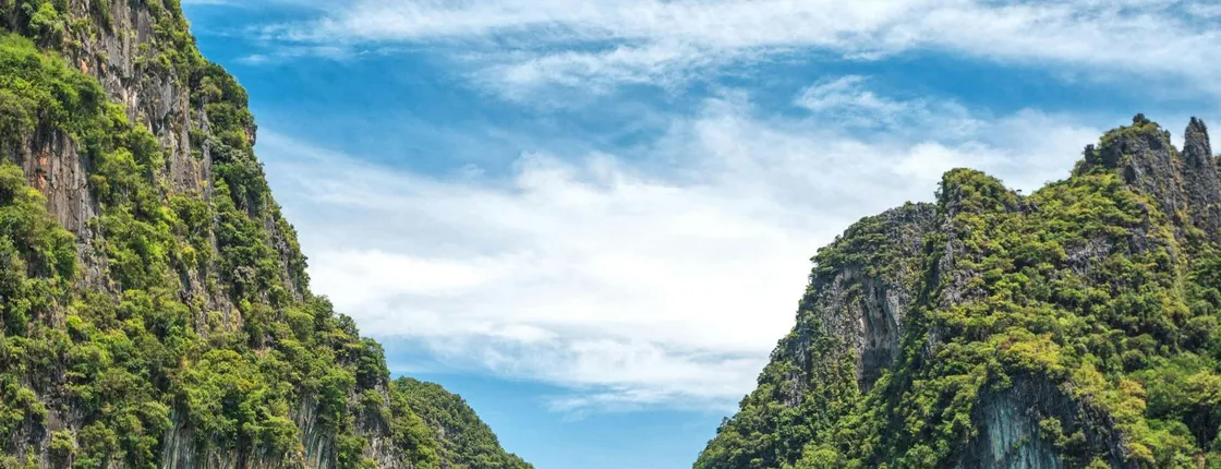Full-day Phi Phi and Bamboo Island by speed catamaran from Khao Lak