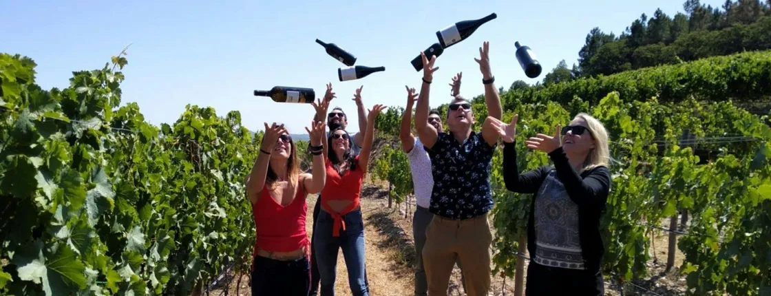 Small group tour in Douro Valley from Porto