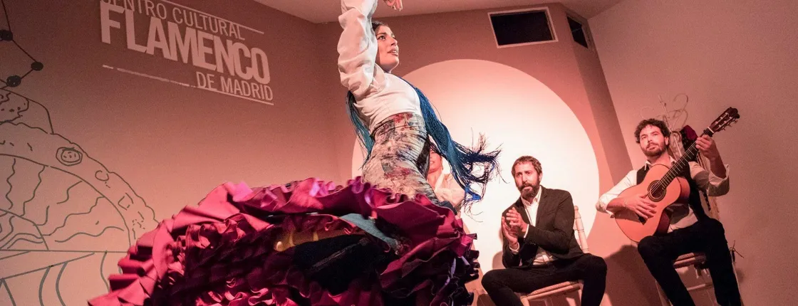 Traditional flamenco show in Madrid