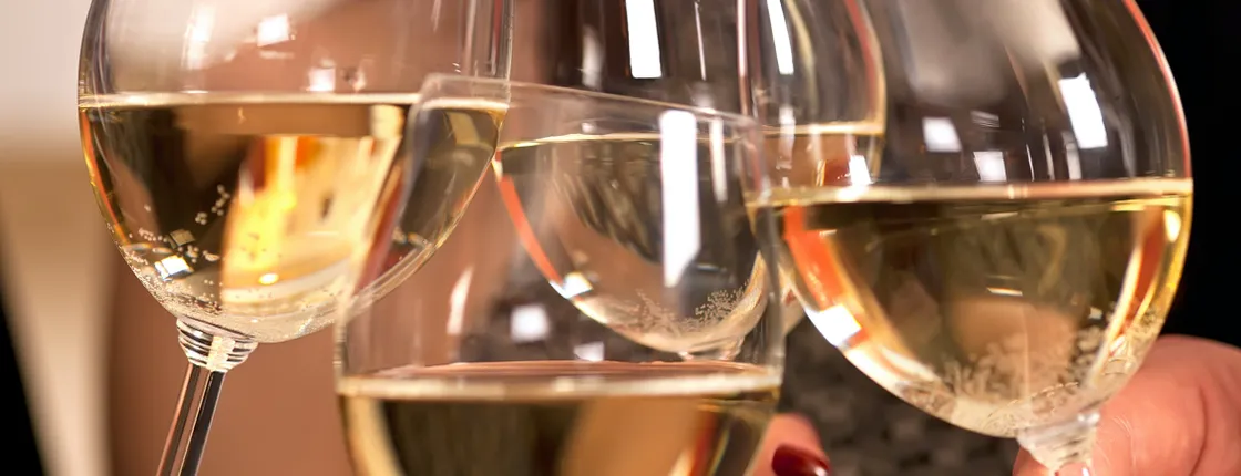 Mornington Peninsula Winery tour with lunch and wine tasting