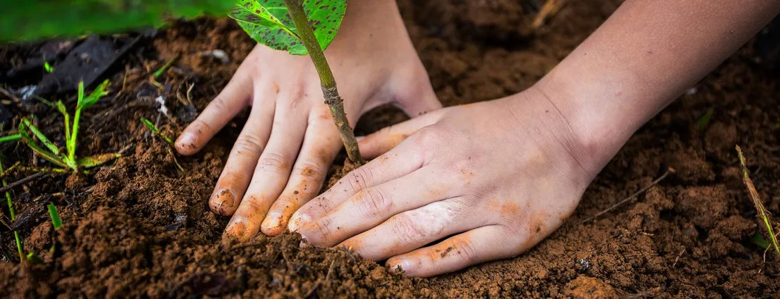 La Tigra Forest Tree Planting & Agro-ecological Farm Tour