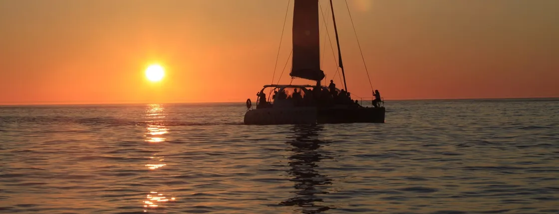 90-minute Sunset Catamaran Cruise in Cape Town