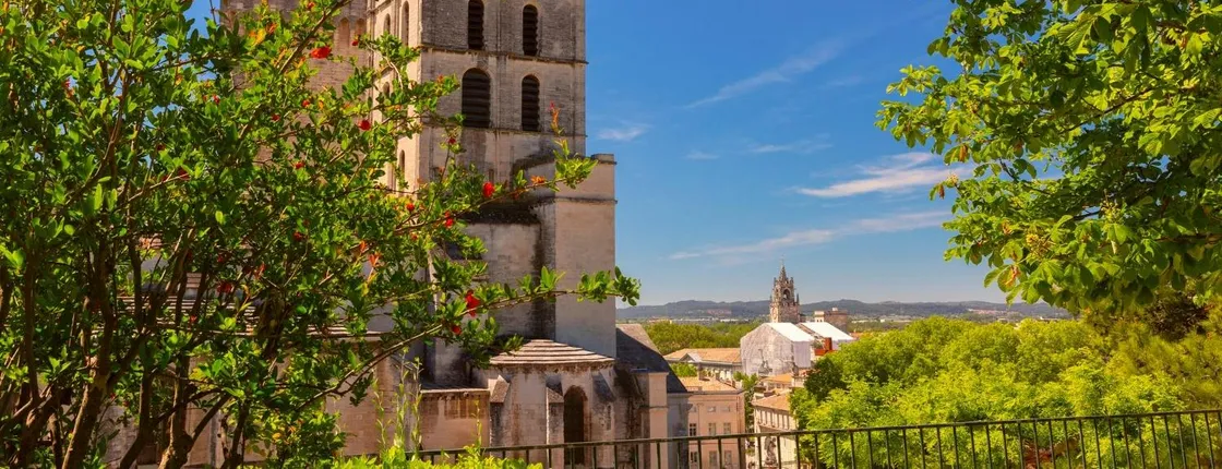 Avignon 2-hour introductory walking tour with a local
