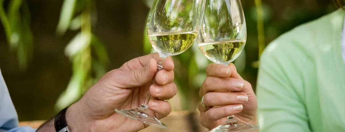 Romantic Road day trip with wine tasting from Würzburg