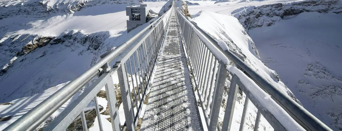 Full-day tour to Glacier 3000 and Montreux from Geneva