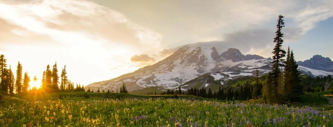 Self-Guided Driving Tour of Mount Rainier National Park