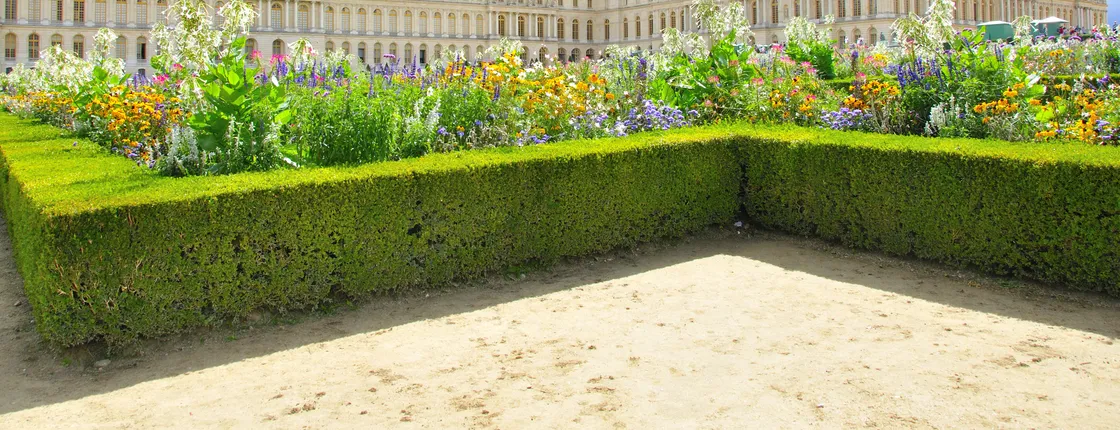 Skip-the-line guided tour of Versailles Palace
