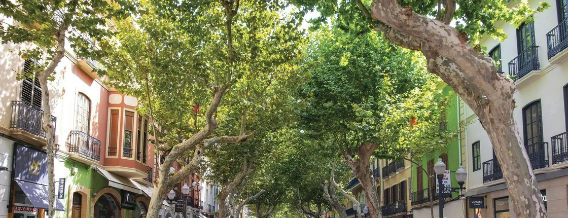 Full-day L’Albarda Gardens visit with free time in Denia