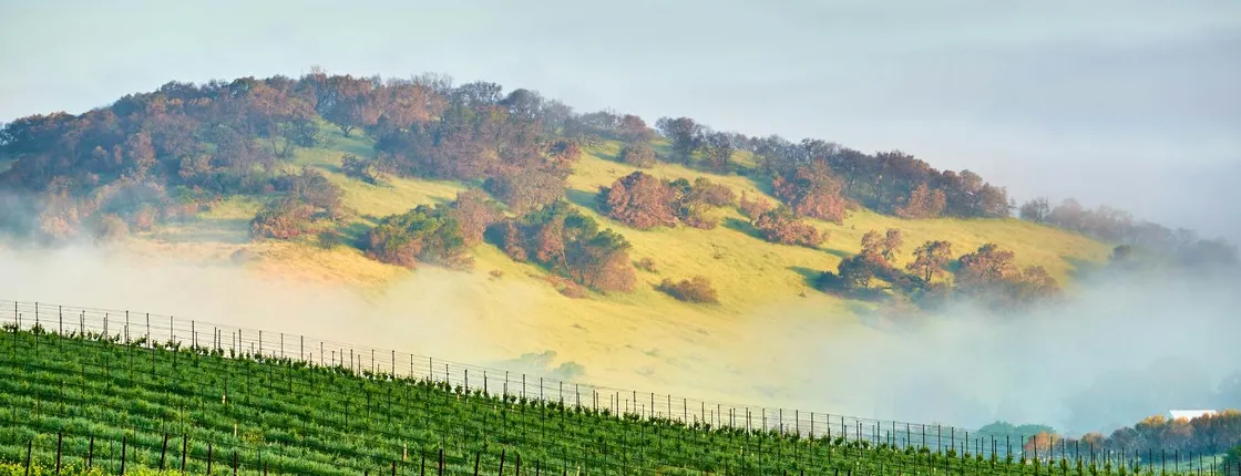 Self-Guided Driving Audio Tour of Sonoma and Napa Valley