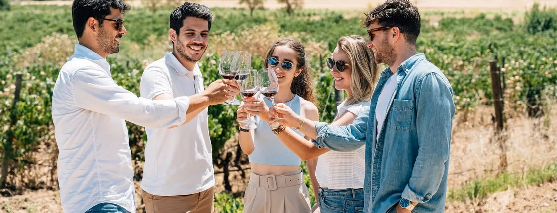 Tour of Toledo with wine tasting from Madrid