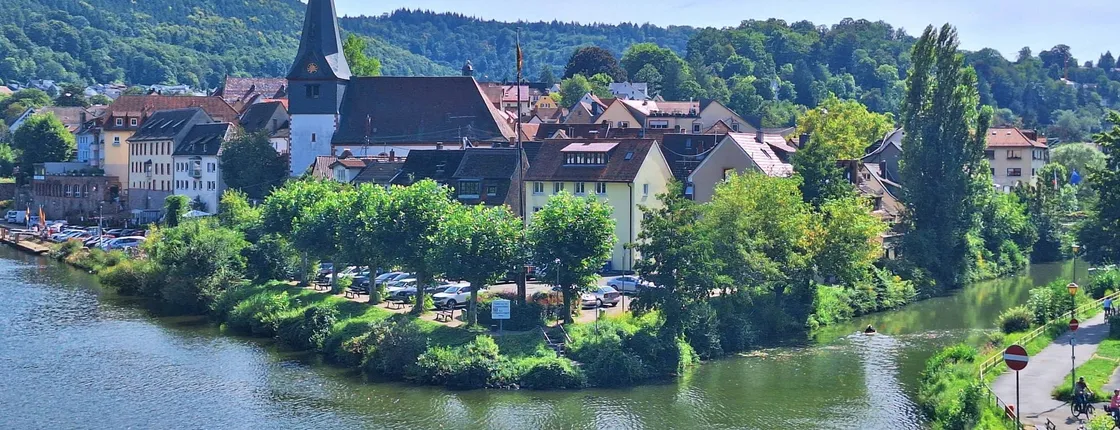 Neckargemünd and Dilsberg Castle half-day tour from Heidelberg