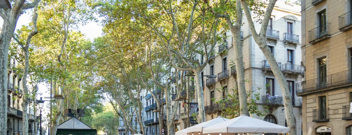 Barcelona Door to Door