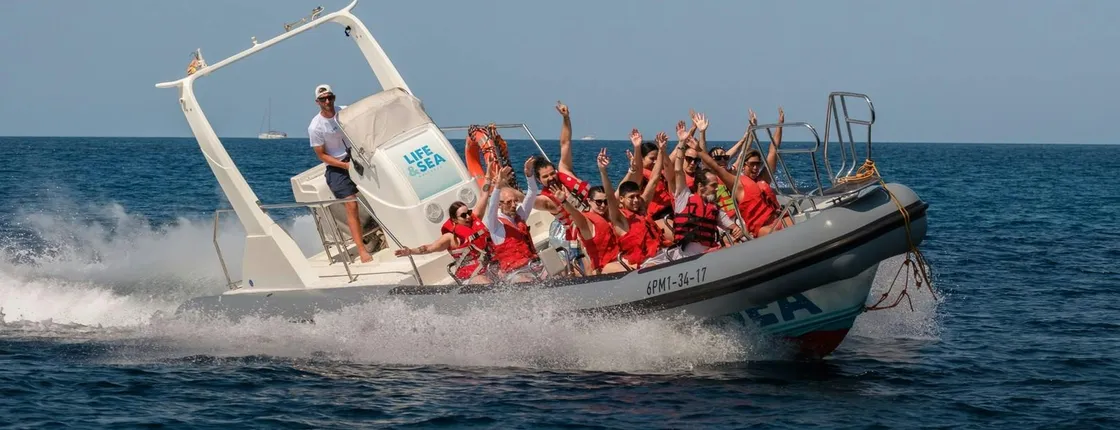 Speed boat experience in Mallorca